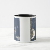 Space Shuttle Endeavor 17 Mok (Midden)