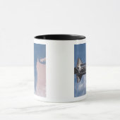 Space Shuttle Endeavor 19 Mok (Midden)