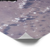 Space Shuttle Endeavor 24 Poster (Hoek)