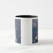 Space Shuttle Endeavor Mok (Midden)