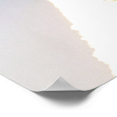 Space Shuttle Endeavor Poster (Hoek)