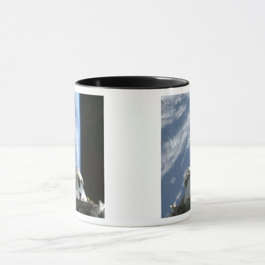 Space Shuttle Endeavor's laadbay Mok (Midden)