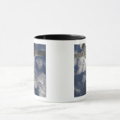 Space Shuttle Endeavour 8 Mok (Midden)