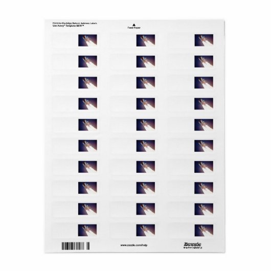 Space Shuttle Etiket (Full Sheet)