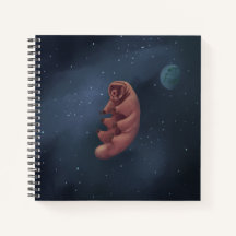 Space Tardigrade-laptop