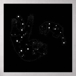 Spacebons Afdrukken Poster