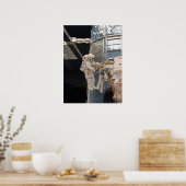 Spacewalk & Hubble Space Telescope Poster (Keuken)