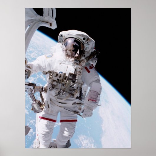 Spacewalk (STS-100) Poster (Voorkant)