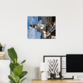 Spacewalk (STS-119) Poster (Thuiskantoor)