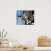 Spacewalk (STS-119) Poster (Keuken)