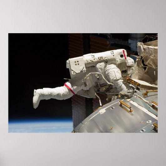 Spacewalk (STS-133) Poster (Voorkant)