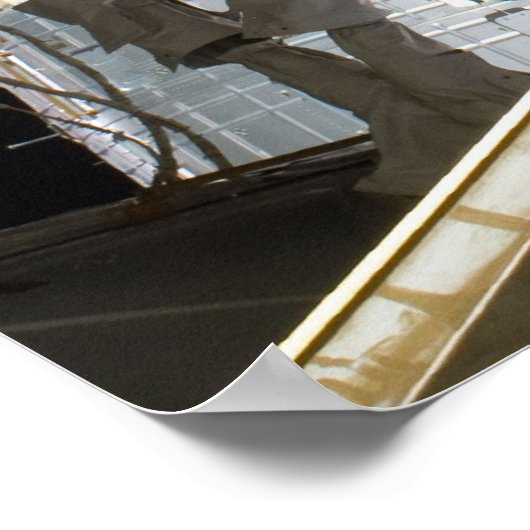 Spacewalk (STS-133) Poster (Hoek)