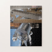 SpaceX-missie Legpuzzel (Verticaal)