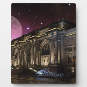 Spacey Metropolitan Museum Fotoplaat