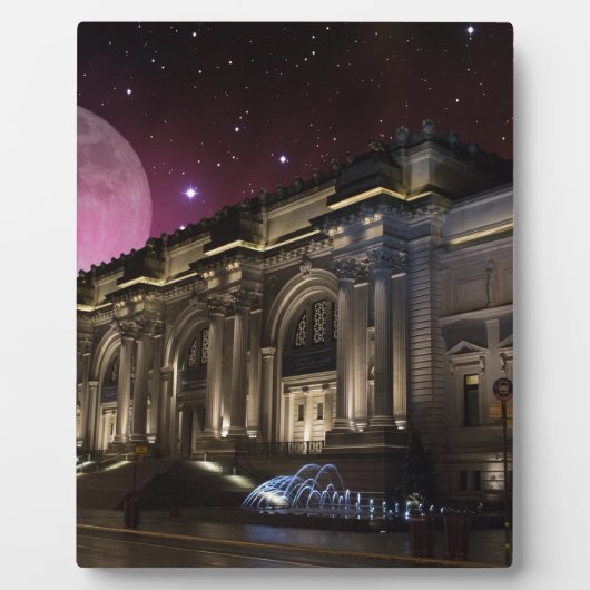 Spacey Metropolitan Museum Fotoplaat (Voorkant)