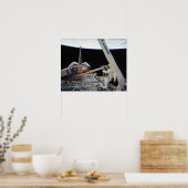 Spacwalk aan boord van Space Shuttle Columbia (STS Poster (Keuken)