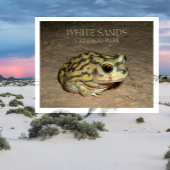 Spadefoot Toad, White Sands National Park Briefkaa Briefkaart