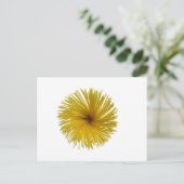 Spaghetti-bloem Briefkaart (Staand voorkant)
