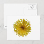 Spaghetti-bloem Briefkaart (Voorkant / Achterkant)