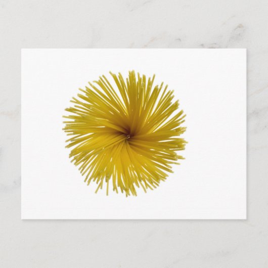 Spaghetti-bloem Briefkaart (Voorkant)