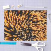 spaghetti tissuepapier (Craft)