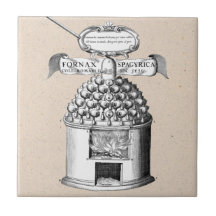 Spagyrische kruidengeneesmiddelen