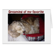 SPAINIEL IS "DREAMING VAN FAV PERSON-"JOU" (Voorkant Horizontaal)