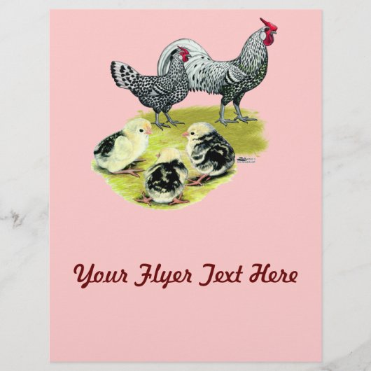 Spangled Hamburg Flyer (Voorkant)