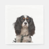 SPANIEL 1A SERVETTEN (Voorkant)