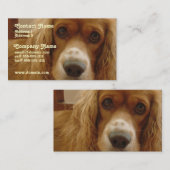 Spaniel Breed Visitekaartje (Voorkant / Achterkant)