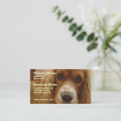 Spaniel Breed Visitekaartje (Staand voorkant)
