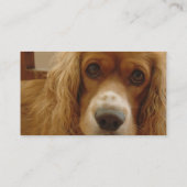 Spaniel Breed Visitekaartje (Achterkant)