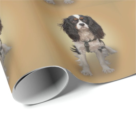 SPANIEL CADEAUPAPIER (Rol Hoek)