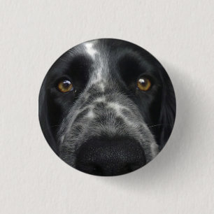 Spaniel dicht bij badge ronde button 3,2 cm