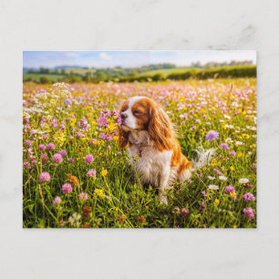 Spaniel die bloem in zomervei besnuffelt briefkaart