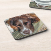 SPANIEL DOG BIER ONDERZETTER (Linkerzijde)