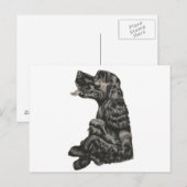 Spaniel Dog Briefkaart (Voorkant / Achterkant)