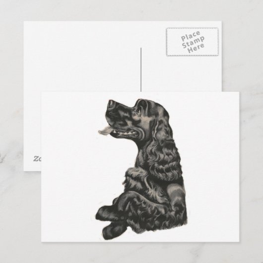 Spaniel Dog Briefkaart (Voorkant / Achterkant)