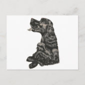Spaniel Dog Briefkaart (Voorkant)