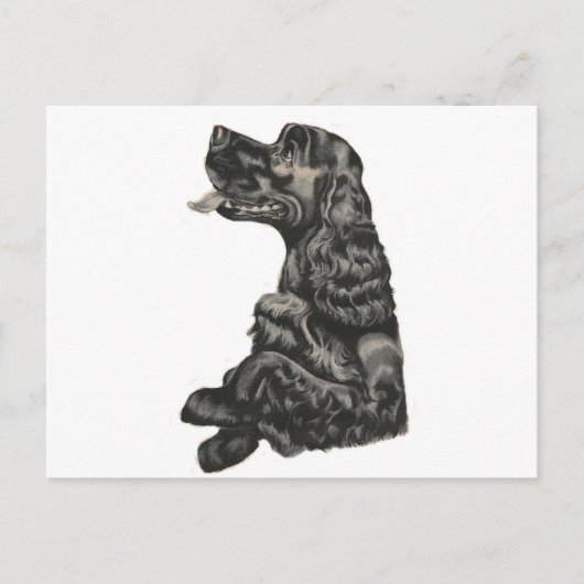 Spaniel Dog Briefkaart (Voorkant)