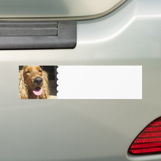 Spaniel Dog Bumpersticker (Op auto)