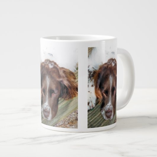 SPANIEL DOG GROTE KOFFIEKOP (Voorkant rechts)