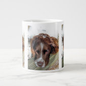 SPANIEL DOG GROTE KOFFIEKOP (Voorkant)