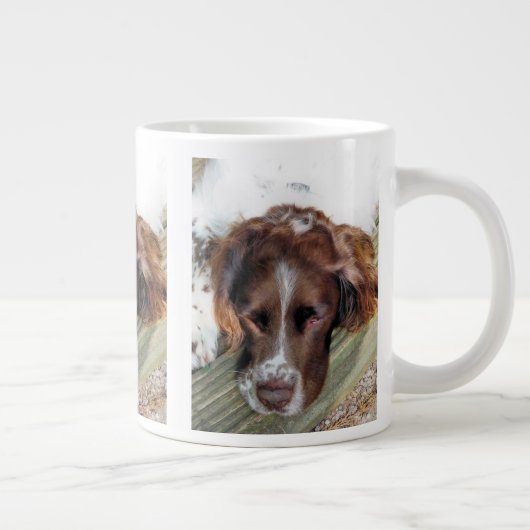 SPANIEL DOG GROTE KOFFIEKOP (Rechts)