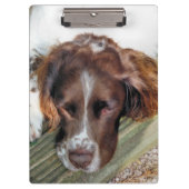 SPANIEL DOG KLEMBORD (Voorkant)