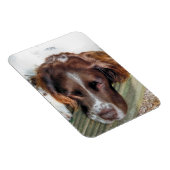 SPANIEL DOG MAGNEET (Rechterzijde)