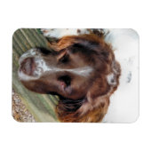 SPANIEL DOG MAGNEET (Horizontaal)
