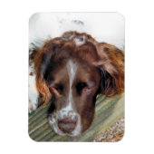 SPANIEL DOG MAGNEET (Verticaal)