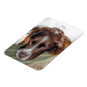 SPANIEL DOG MAGNEET (Linkerzijde)