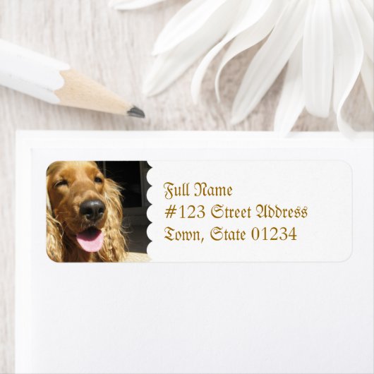 Spaniel Dog Mailing Label (Insitu)